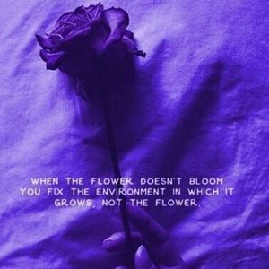 Meet your Posher, Eden